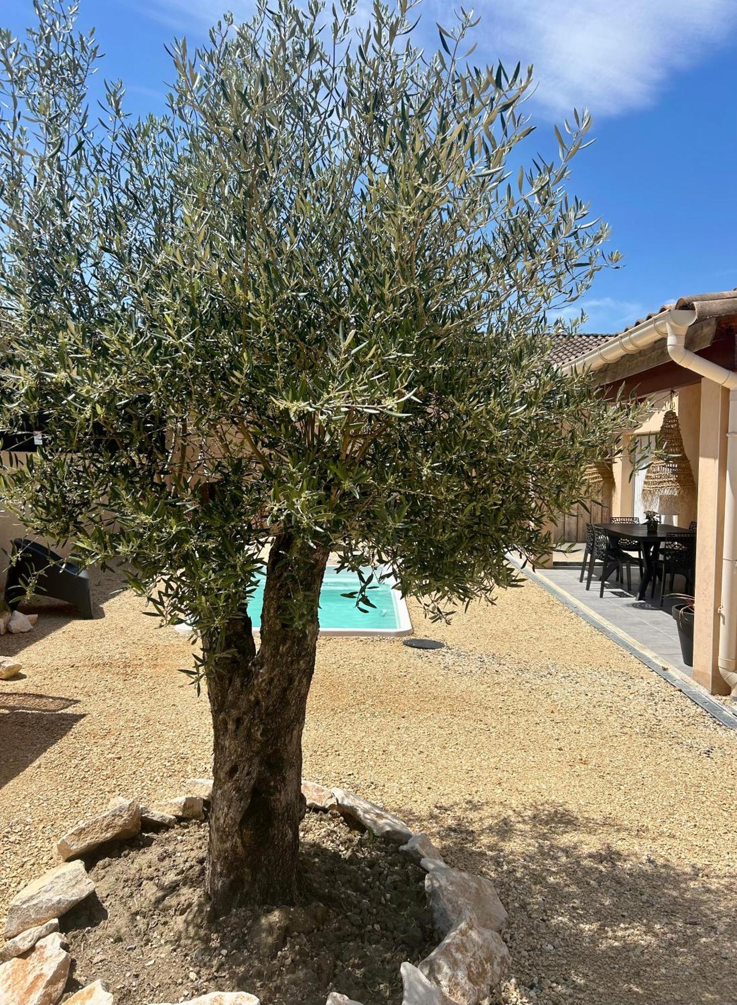 Maison Piscine & Spa Vallon Pont D'Arc Buitenkant foto